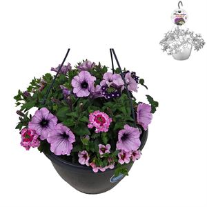 Afbeelding van Hp27 multi Mix 14